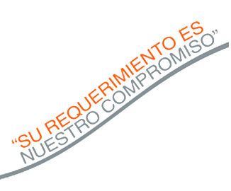 CHEJ Consultor Logo